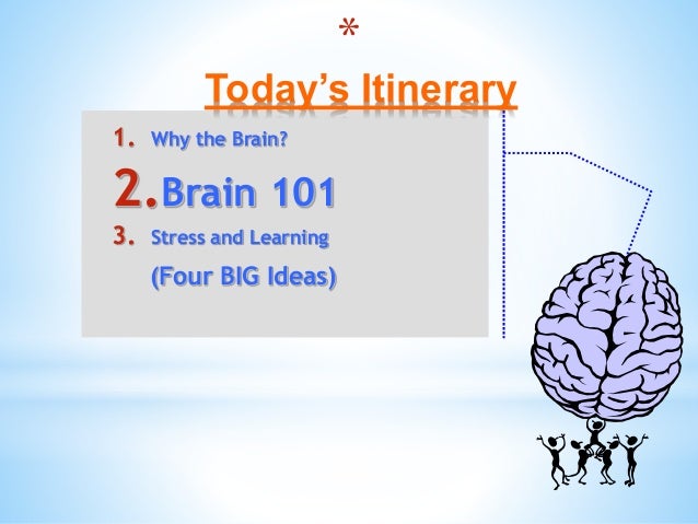 Brain Matters March 5 Inservice Slide 16