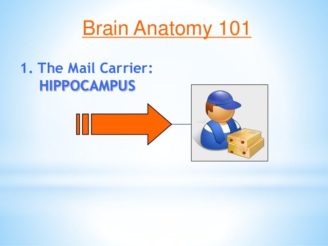 Brain Matters March 5 Inservice Slide 19