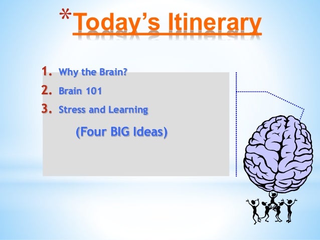Brain Matters March 5 Inservice Slide 2