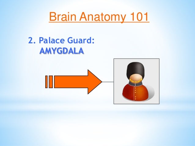 Brain Matters March 5 Inservice Slide 22