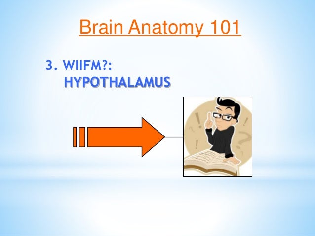 Brain Matters March 5 Inservice Slide 27