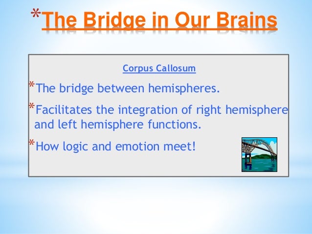 Brain Matters March 5 Inservice Slide 30