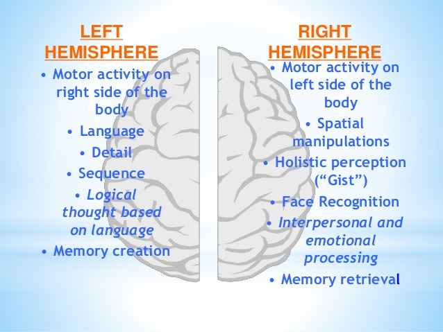 Brain Matters March 5 Inservice Slide 31