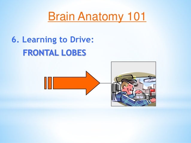 Brain Matters March 5 Inservice Slide 35