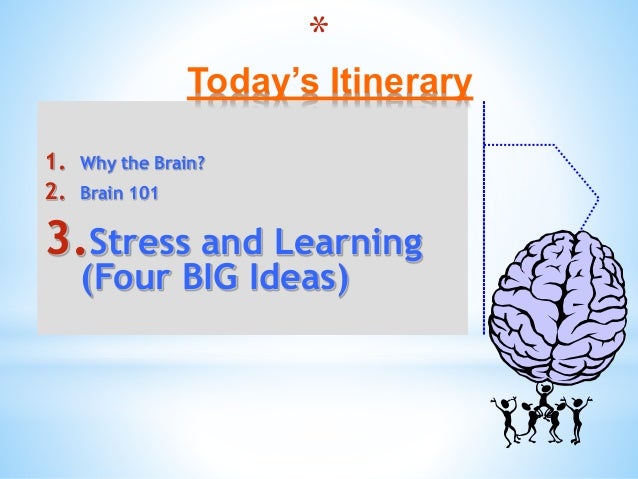 Brain Matters March 5 Inservice Slide 38