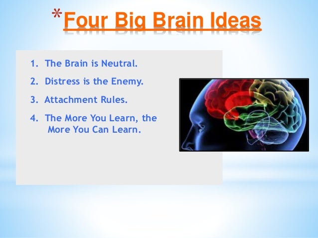 Brain Matters March 5 Inservice Slide 39