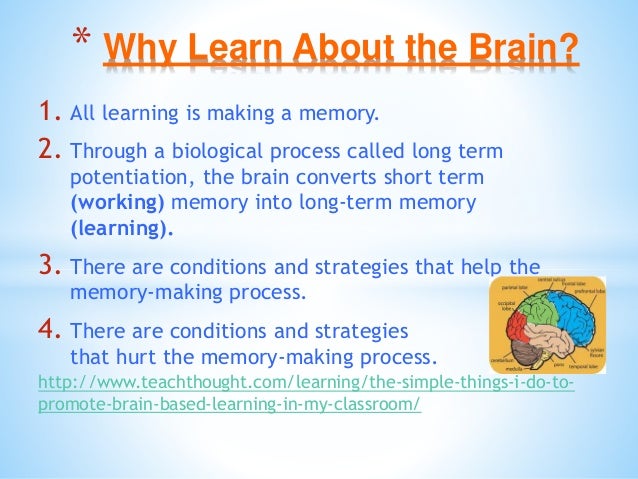 Brain Matters March 5 Inservice Slide 4