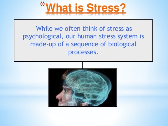 Brain Matters March 5 Inservice Slide 46
