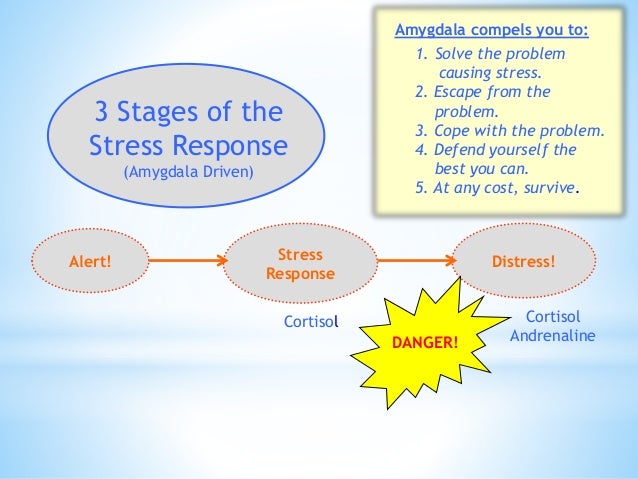 Brain Matters March 5 Inservice Slide 49