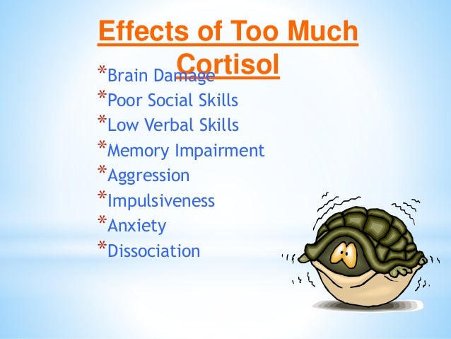 Brain Matters March 5 Inservice Slide 50