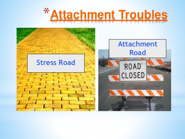 Brain Matters March 5 Inservice Slide 53