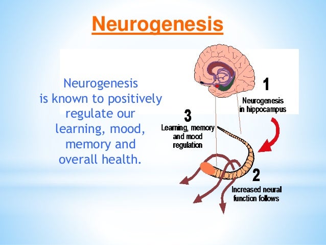 Brain Matters March 5 Inservice Slide 57