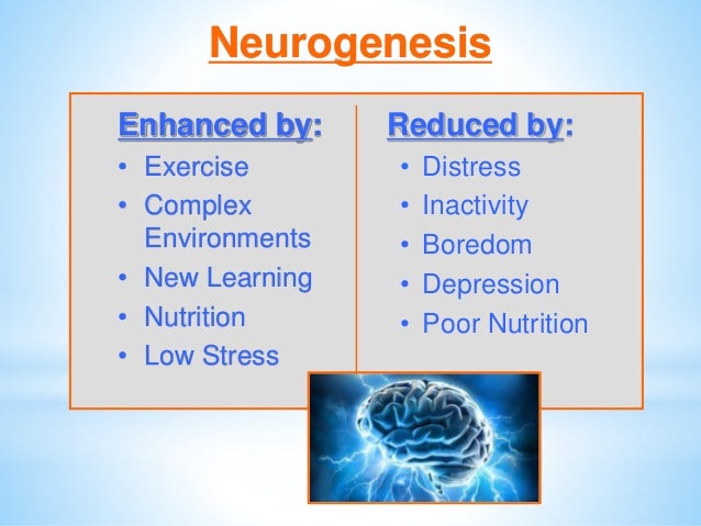 Brain Matters March 5 Inservice Slide 58