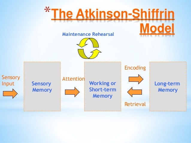 Brain Matters March 5 Inservice Slide 6
