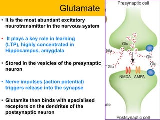 VCE U4 Psychology - Brain mechanisms involved in learning | PPTX
