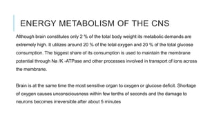 ENERGY METABOLISM OF THE CNS
Although brain constitutes only 2 % of the total body weight its metabolic demands are
extremely high. It utilizes around 20 % of the total oxygen and 20 % of the total glucose
consumption. The biggest share of its consumption is used to maintain the membrane
potential through Na /K -ATPase and other processes involved in transport of ions across
the membrane.
Brain is at the same time the most sensitive organ to oxygen or glucose deficit. Shortage
of oxygen causes unconsciousness within few tenths of seconds and the damage to
neurons becomes irreversible after about 5 minutes
 