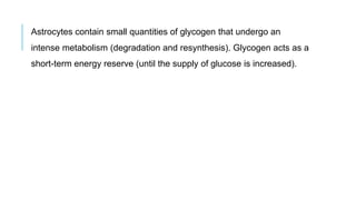 Astrocytes contain small quantities of glycogen that undergo an
intense metabolism (degradation and resynthesis). Glycogen acts as a
short-term energy reserve (until the supply of glucose is increased).
 