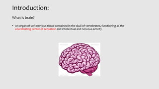 Introduction:
• An organ of soft nervous tissue contained in the skull of vertebrates, functioning as the
coordinating cen...