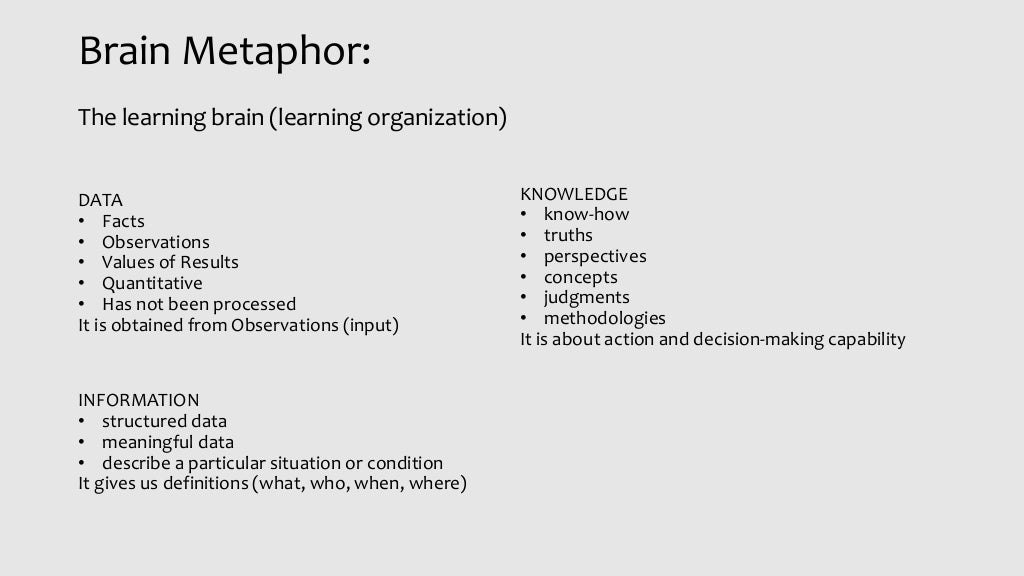 Brain metaphor