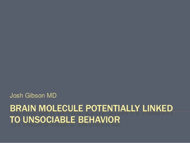 josh gibson md