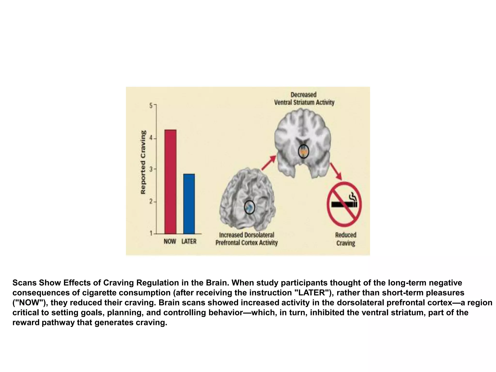 Scans Show Effects of Craving Regulation in the Brain. When study participants thought of the long-term negative
consequences of cigarette consumption (after receiving the instruction "LATER"), rather than short-term pleasures
("NOW"), they reduced their craving. Brain scans showed increased activity in the dorsolateral prefrontal cortex—a region
critical to setting goals, planning, and controlling behavior—which, in turn, inhibited the ventral striatum, part of the
reward pathway that generates craving.
 