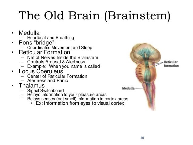 Vitamins to improve memory and brain function photo 2