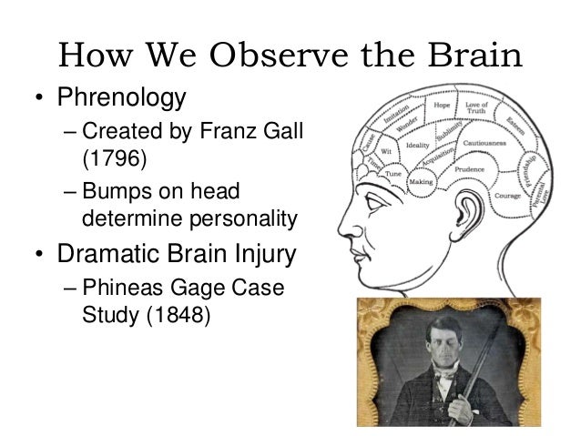 phineas gage and the role of Free essay: phineas gage and the role of the brain in cognitive functioning breanne warden psy/360 december 5, 2011 devlin crose phineas gage and the role of. phineas gage and the role of Free essay: phineas gage and the role of the brain in cognitive functioning breanne warden psy/360 december 5, 2011 devlin crose phineas gage and the role of.