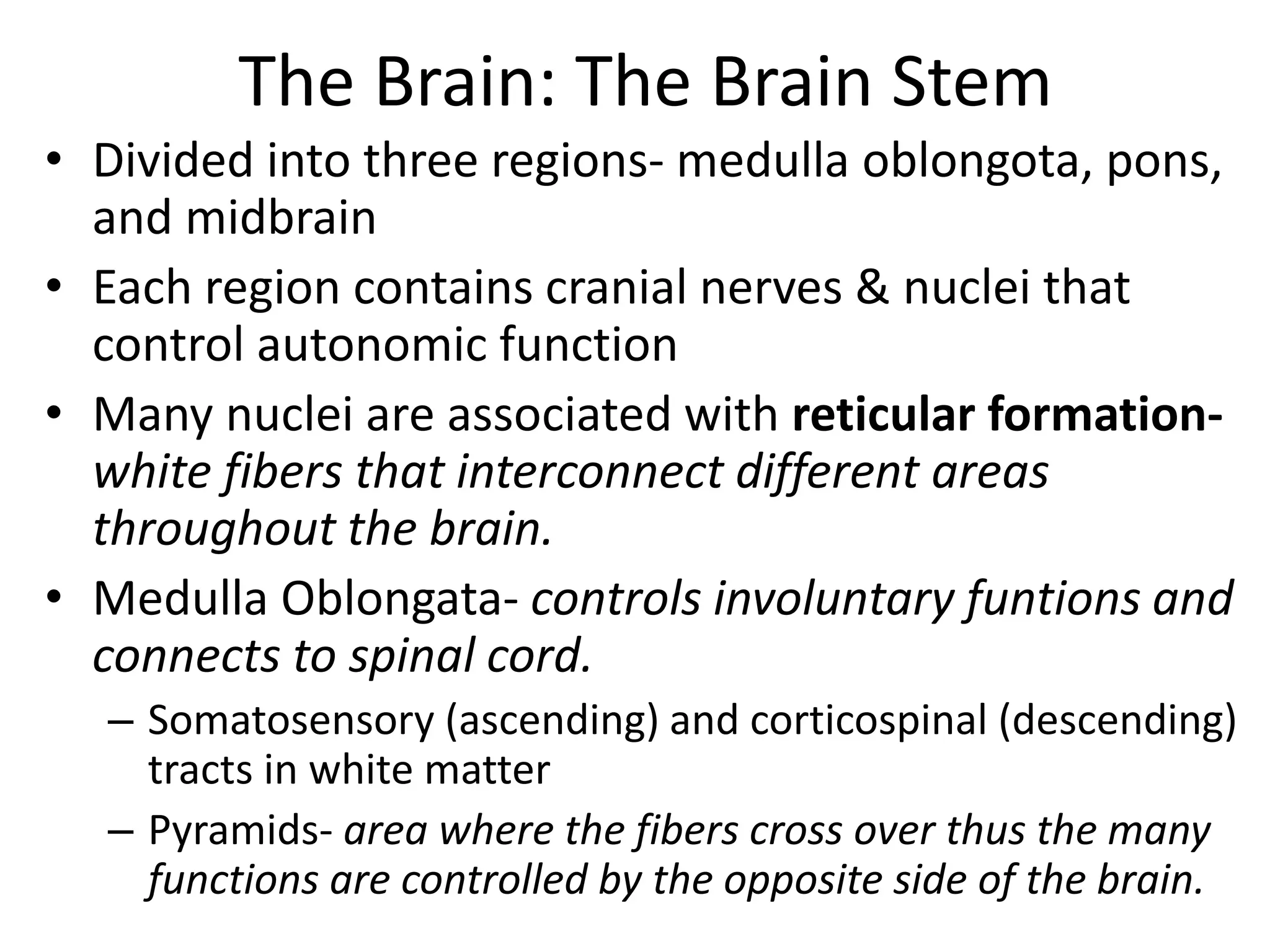 The Brain: The Brain Stem
• Divided into three regions- medulla oblongota, pons,
and midbrain
• Each region contains cranial nerves & nuclei that
control autonomic function
• Many nuclei are associated with reticular formation-
white fibers that interconnect different areas
throughout the brain.
• Medulla Oblongata- controls involuntary funtions and
connects to spinal cord.
– Somatosensory (ascending) and corticospinal (descending)
tracts in white matter
– Pyramids- area where the fibers cross over thus the many
functions are controlled by the opposite side of the brain.
 