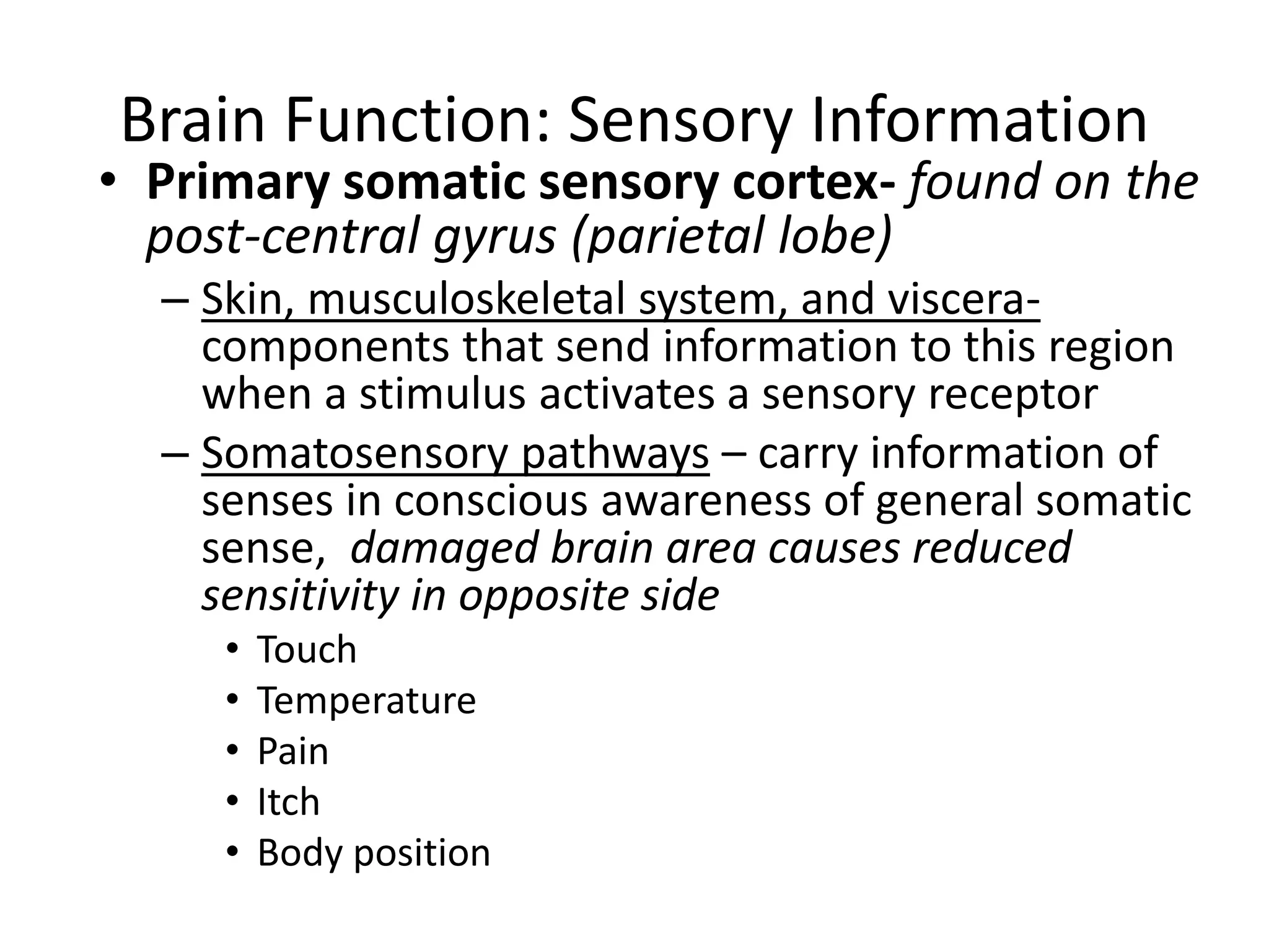 Brain Function: Sensory Information
• Primary somatic sensory cortex- found on the
post-central gyrus (parietal lobe)
– Skin, musculoskeletal system, and viscera-
components that send information to this region
when a stimulus activates a sensory receptor
– Somatosensory pathways – carry information of
senses in conscious awareness of general somatic
sense, damaged brain area causes reduced
sensitivity in opposite side
• Touch
• Temperature
• Pain
• Itch
• Body position
 