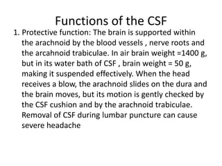 Brain Physiology.ppt (the central nervous system) | PPT