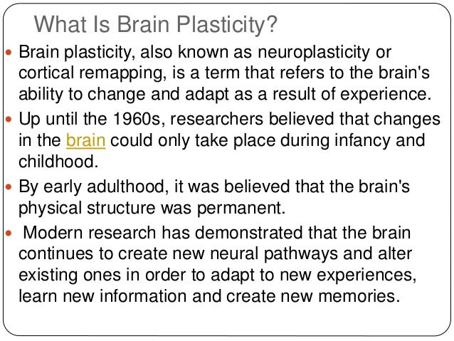 Brain plasticity