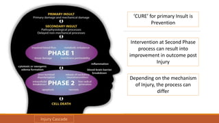 ‘CURE’ for primary Insult is
Prevention
Intervention at Second Phase
process can result into
improvement in outcome post
Injury
Depending on the mechanism
of Injury, the process can
differ
Injury Cascade
 