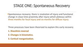 STAGE ONE: Spontaneous Recovery
Spontaneous recovery: there is resolution of injury and functional
change in close time proximity after injury which plateaus within
three months for focal injury and six months for diffuse injury.
Three processes have been theorized to explain this early recovery
1. Diaschisis reversal
2. Changes in kinematics.
3. Cortical reorganization.
 