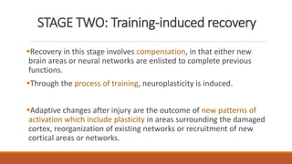 STAGE TWO: Training-induced recovery
Recovery in this stage involves compensation, in that either new
brain areas or neural networks are enlisted to complete previous
functions.
Through the process of training, neuroplasticity is induced.
Adaptive changes after injury are the outcome of new patterns of
activation which include plasticity in areas surrounding the damaged
cortex, reorganization of existing networks or recruitment of new
cortical areas or networks.
 