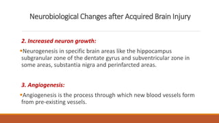 Neurobiological Changes after Acquired Brain Injury
2. Increased neuron growth:
Neurogenesis in specific brain areas like the hippocampus
subgranular zone of the dentate gyrus and subventricular zone in
some areas, substantia nigra and perinfarcted areas.
3. Angiogenesis:
Angiogenesis is the process through which new blood vessels form
from pre-existing vessels.
 