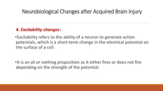 Neurobiological Changes after Acquired Brain Injury
4. Excitability changes:
Excitability refers to the ability of a neuron to generate action
potentials, which is a short-term change in the electrical potential on
the surface of a cell.
It is an all or nothing proposition as it either fires or does not fire
depending on the strength of the potential.
 