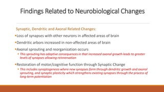 Findings Related to Neurobiological Changes
Synaptic, Dendritic and Axonal Related Changes:
Loss of synapses with other neurons in affected areas of brain
Dendritic arbors increased in non-affected areas of brain
Axonal sprouting and reorganization occurs
 This sprouting has adaptive consequences in that increased axonal growth leads to greater
levels of synapses allowing reinnervation
Restoration of motor/cognitive function through Synaptic Change
 This includes synaptogenesis where new synapses form through dendritic growth and axonal
sprouting, and synaptic plasticity which strengthens existing synapses through the process of
long-term potentiation
 