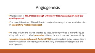 Angiogenesis
Angiogenesis is the process through which new blood vessels form from pre-
existing vessels.
The benefit is return of blood flow to previously damaged areas, which is assists
in establishing metabolic support
An area around the infarct affected by vascular compromise is more than just
dying cells and it is called penumbra – it may be a precursor of neuroplasticity.
Vascular endothelial growth factor (VEGF) is an important factor in post-injury
recovery vascular remodeling which ultimately promotes synaptogenesis and
neurogenesis.
 
