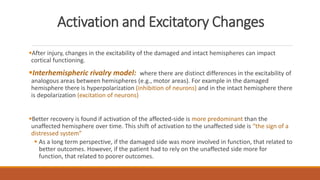 Activation and Excitatory Changes
After injury, changes in the excitability of the damaged and intact hemispheres can impact
cortical functioning.
Interhemispheric rivalry model: where there are distinct differences in the excitability of
analogous areas between hemispheres (e.g., motor areas). For example in the damaged
hemisphere there is hyperpolarization (inhibition of neurons) and in the intact hemisphere there
is depolarization (excitation of neurons)
Better recovery is found if activation of the affected-side is more predominant than the
unaffected hemisphere over time. This shift of activation to the unaffected side is “the sign of a
distressed system”
 As a long term perspective, if the damaged side was more involved in function, that related to
better outcomes. However, if the patient had to rely on the unaffected side more for
function, that related to poorer outcomes.
 