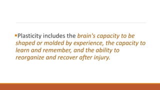 Plasticity includes the brain's capacity to be
shaped or molded by experience, the capacity to
learn and remember, and the ability to
reorganize and recover after injury.
 