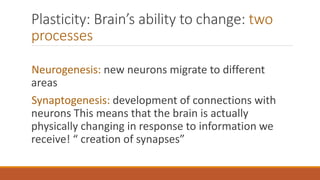 Plasticity: Brain’s ability to change: two
processes
Neurogenesis: new neurons migrate to different
areas
Synaptogenesis: development of connections with
neurons This means that the brain is actually
physically changing in response to information we
receive! “ creation of synapses”
 
