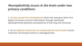 Neuroplasticity occurs in the brain under two
primary conditions:
1. During normal brain development when the immature brain first
begins to process sensory information through adulthood
(developmental plasticity and plasticity of learning and memory).
2. As an adaptive mechanism to compensate for lost function and to
maximize remaining functions in damaged brain.
 