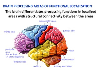 Brain plasticity and rehabilitation robotic therapies | PPT