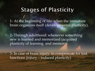 Development Involves Plasticity Brain plasticity FOR PEDIATRIC SURGERY | PPT