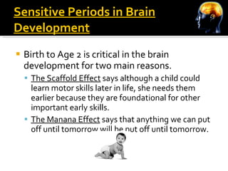 Sensitive Periods in Brain Development Birth to Age 2 is critical in the brain development for two main reasons. The Scaffold Effect  says although a child could learn motor skills later in life, she needs them earlier because they are foundational for other important early skills. The Manana Effect  says that anything we can put off until tomorrow will be put off until tomorrow.  