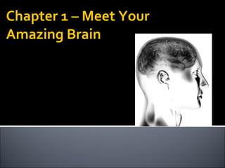 Chapter 1 – Meet Your Amazing Brain 