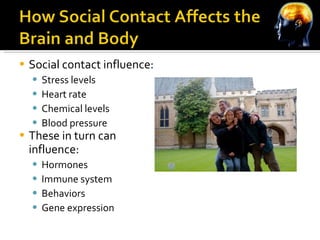 Social contact influence: Stress levels Heart rate Chemical levels Blood pressure These in turn can influence: Hormones Immune system Behaviors Gene expression 