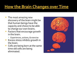 How the Brain Changes over Time The most amazing new discovery of the brain might be that human beings have the capacity and choice to be able to change our own brains. Factors that encourage growth in the brain. Experiences, actions, & exercise Excess stress inhibits growth in the brain. Cells are being born at the same time old cells are being eliminated. 