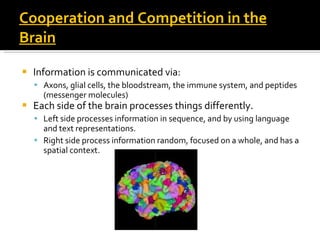 Cooperation and Competition in the Brain Information is communicated via: Axons, glial cells, the bloodstream, the immune system, and peptides (messenger molecules) Each side of the brain processes things differently. Left side processes information in sequence, and by using language and text representations. Right side process information random, focused on a whole, and has a spatial context.  