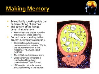 Making Memory Scientifically speaking—it is the particular firing of neurons. The pattern of the firings determines memory. Researchers are unsure how the brain creates these patterns. Current understanding is the process between two neurons: Electrical impulse triggers neurotransmitter release.  Within the neurotransmitter is the messenger ribonucleic acid (mRNA). The mRNA dock into receptors.  Electrochemical threshold is reached and long-term potentiation (LTP) is formed. LTP reaction stimulates new electrical activity in the neuron. 